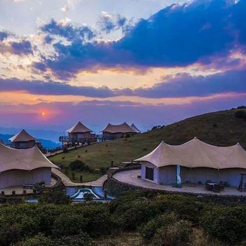 逗鸟传奇解说视频,探索神秘世界,领略自然之美