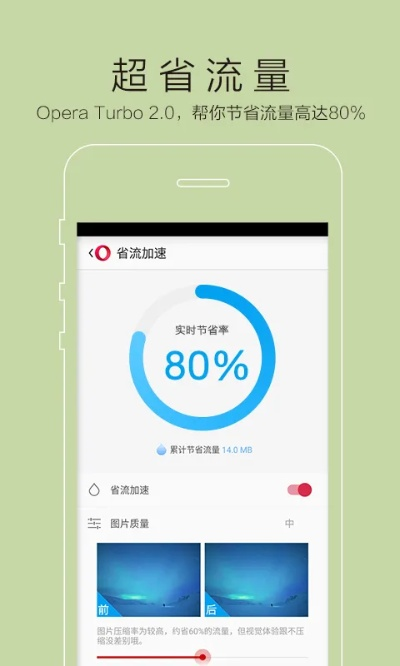 欧朋浏览器版本,数据整合策略解析_2DM_v3.335